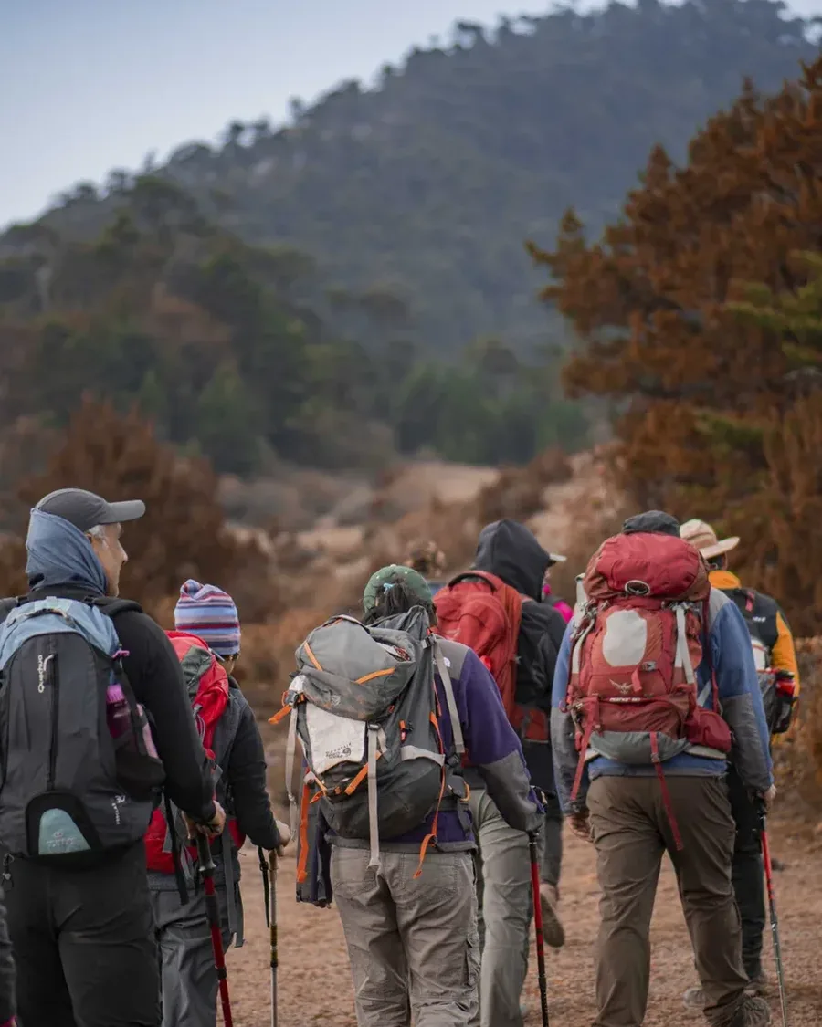 A line of trekkers with backpacks following a mountain trail through autumn-toned forest